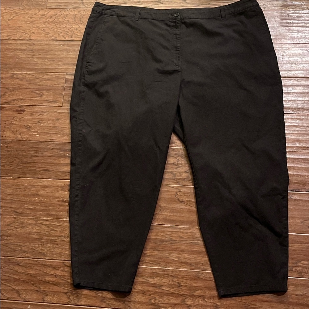 Eileen Fisher Black Ankle Pants Plus Size 26